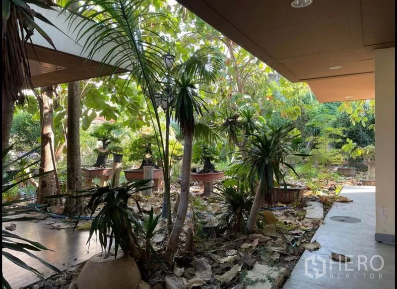 Detached House for rent in Khlong Toei, Bangkok - Shaded tropical garden beside a covered patio with various palms and trees.