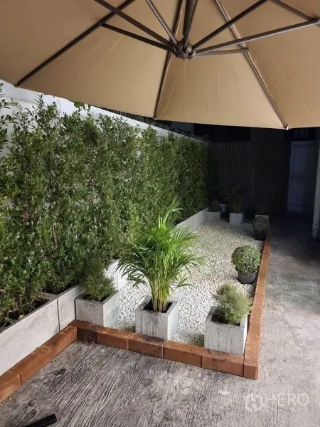บ้าน ให้เช่าในKhlong Toei, Bangkok - สวนส่วนตัวขนาดกะทัดรัด ปูกรวดขาว กระถางต้นไม้ และร่มสนาม