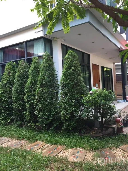 Detached House for sale in Pak Kret, Nonthaburi - Modern white house exterior with corner windows and manicured hedges along the path.