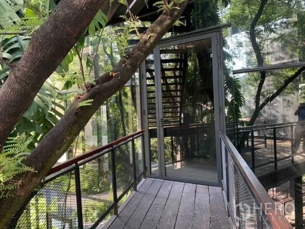 办公空间 出租在Khlong Toei, Bangkok - 带金属网栏的狭长木栈道通向玻璃门，旁边有粗大树干。