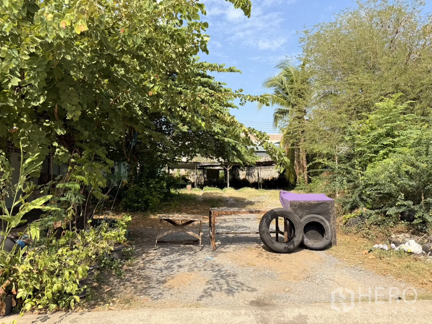 Warehouse for rent in Lam Luk Ka, Pathum Thani - Entry to an open yard with mature trees and a gravel surface.