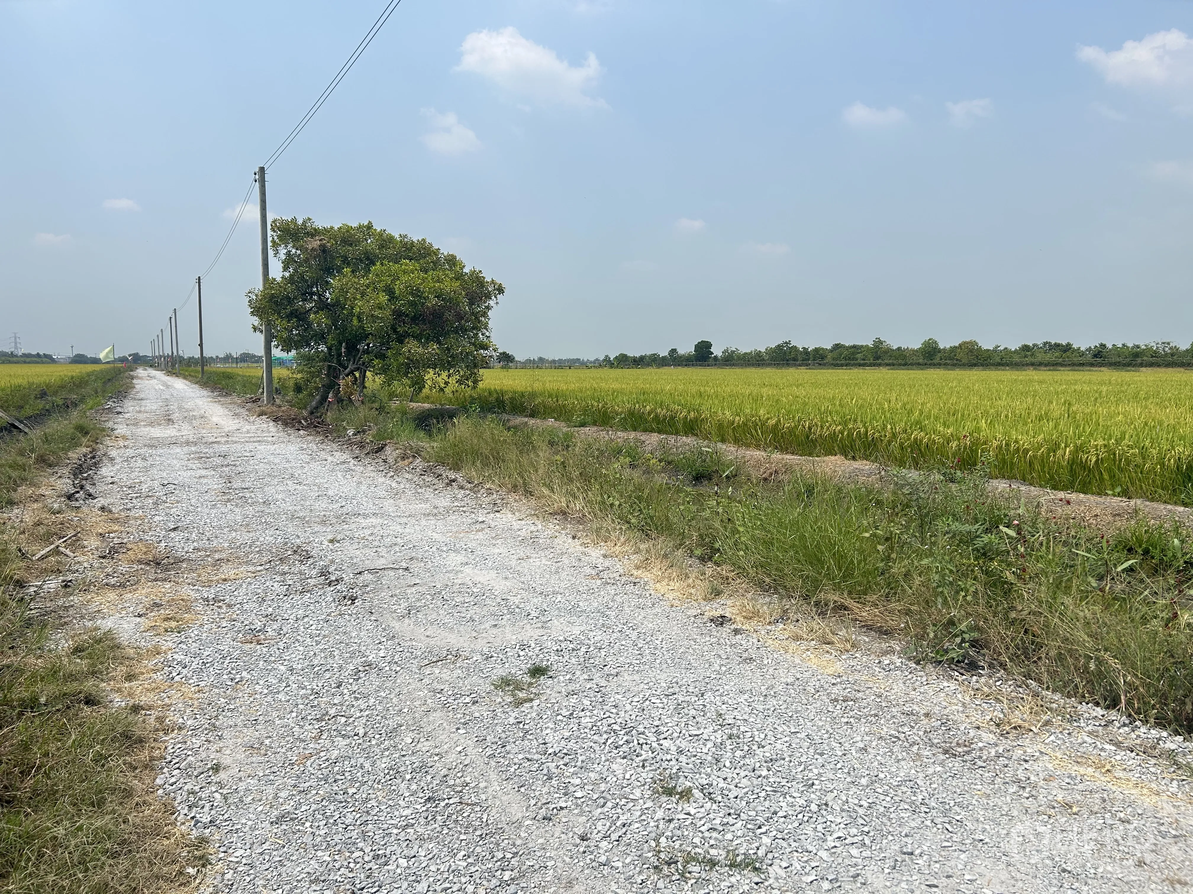 土地 for sale in Sai Noi, Nonthaburi - 碎石通行道路与道路旁电线杆，旁侧为广阔农田景观。