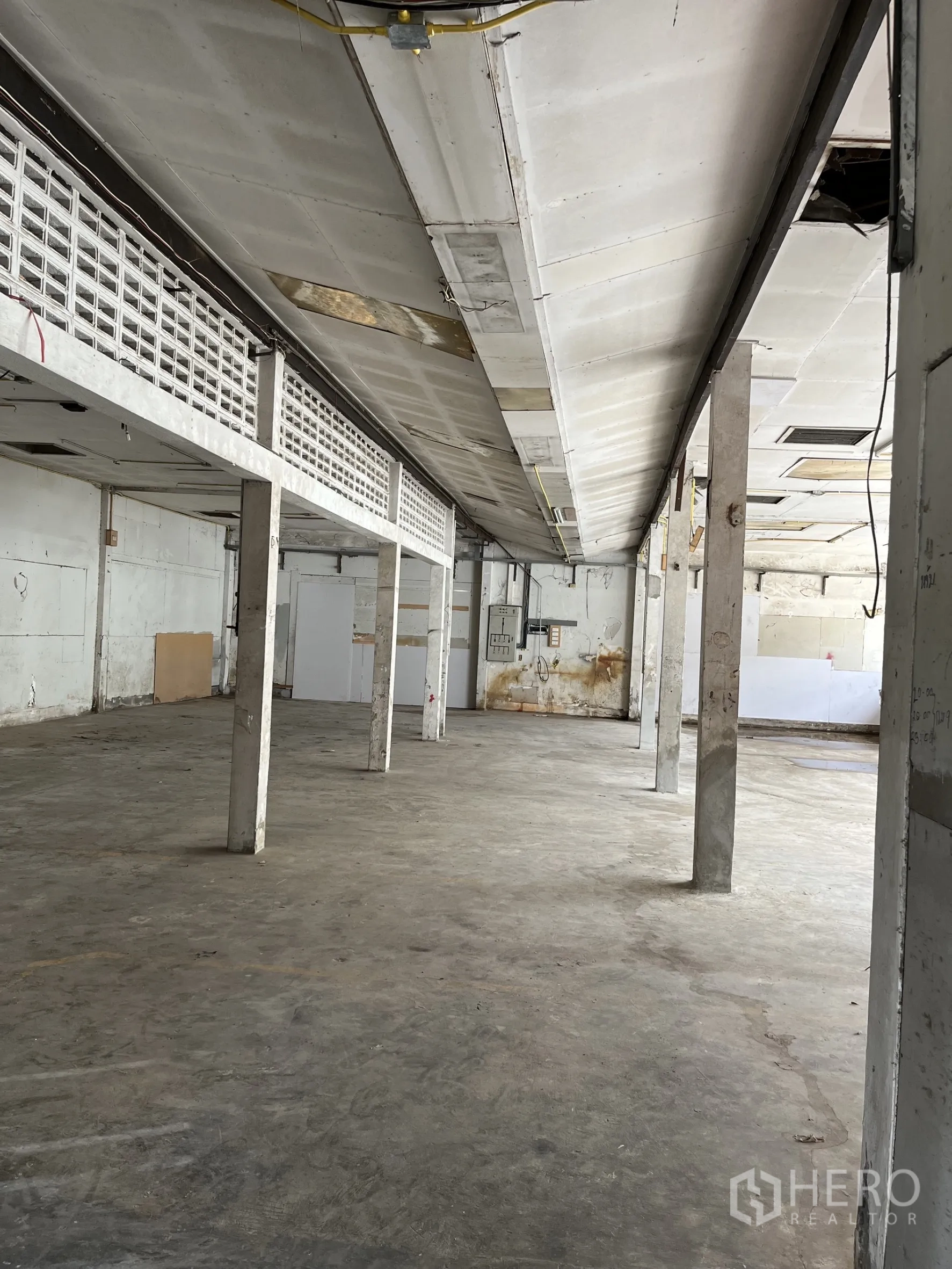คลังสินค้า ให้เช่าในBangkok - ฮอลล์โกดังโล่ง พื้นคอนกรีต เสาค้ำหลายต้น และฝ้าเพดาน