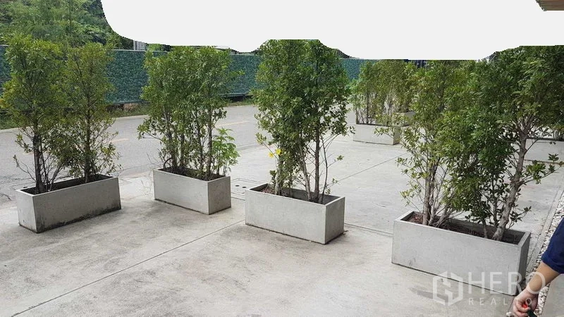 店屋 出租或出售在Bang Na, Bangkok - 室外混凝土露台，摆放长方形花槽与绿植。