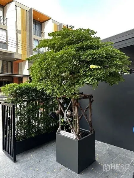 ทาวน์เฮาส์ ให้เช่าในSuan Luang, Bangkok - ต้นไม้ประดับในกระถางข้างรั้วเหล็กบริเวณทางเข้า