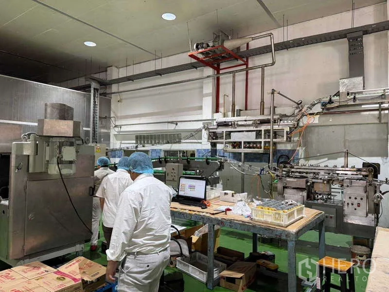 工厂 出售在Samut Prakan - 生产线区域，控制台、笔记本电脑与装箱工位。