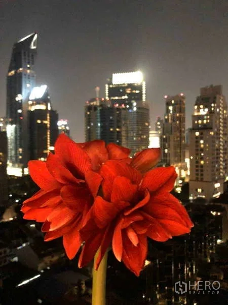 公寓 出售在Watthana, Bangkok - 阳台上的红花，背景为灯火辉煌的曼谷夜景。