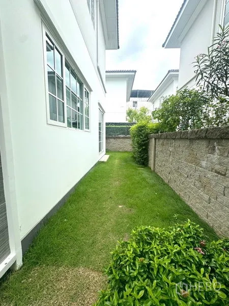 บ้าน ให้เช่า - ทางเดินข้างบ้านพร้อมสนามหญ้าแคบและกำแพงรั้ว