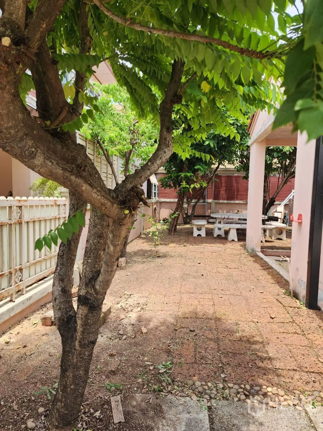 Detached House for rent in Lam Luk Ka, Pathum Thani - Side yard with brick-paved path, shade trees, and boundary fence.