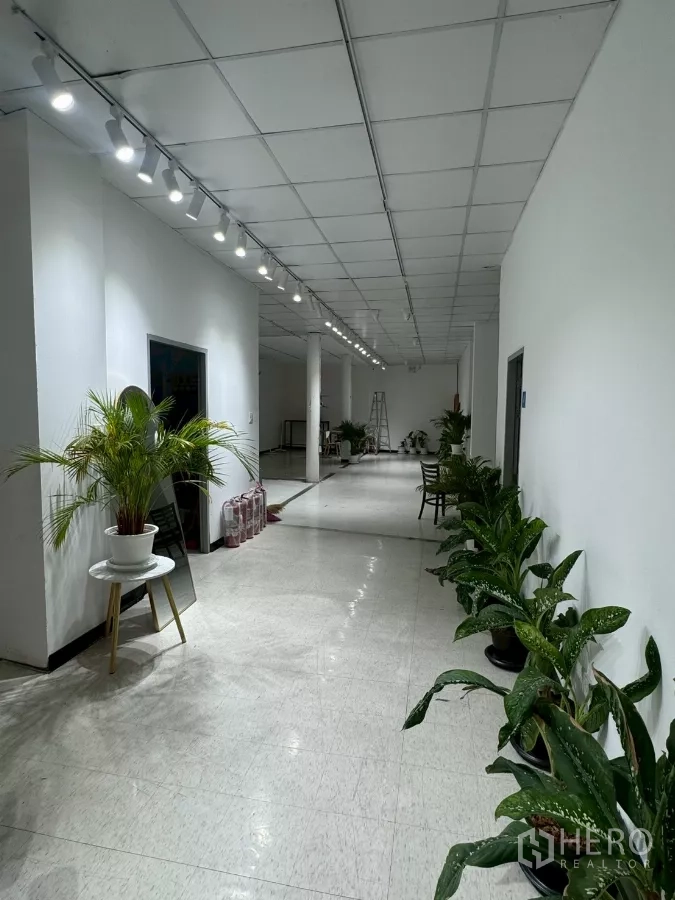 Shophouse for rent in Samphanthawong, Bangkok - Corridor with track lighting and rows of potted plants.