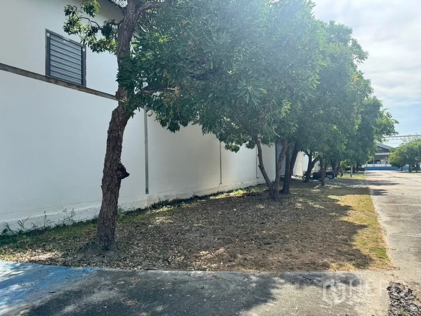 Factory for rent in Bang Phli, Samut Prakan - Perimeter of the factory with trees alongside a paved driveway.
