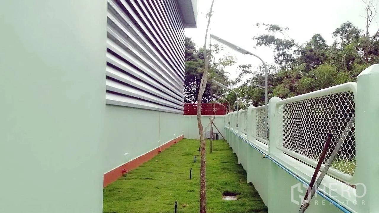 โรงงาน ขายในPathum Thani - ทางเดินข้างอาคารจัดสวนหญ้า พร้อมต้นไม้ปลูกใหม่และรั้วตาข่าย