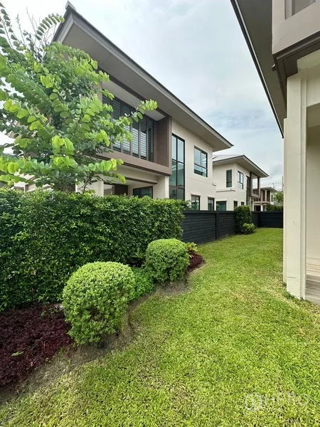 Detached House for rent in Bang Kapi, Bangkok - Side garden with trimmed hedges, lawn and privacy fence.