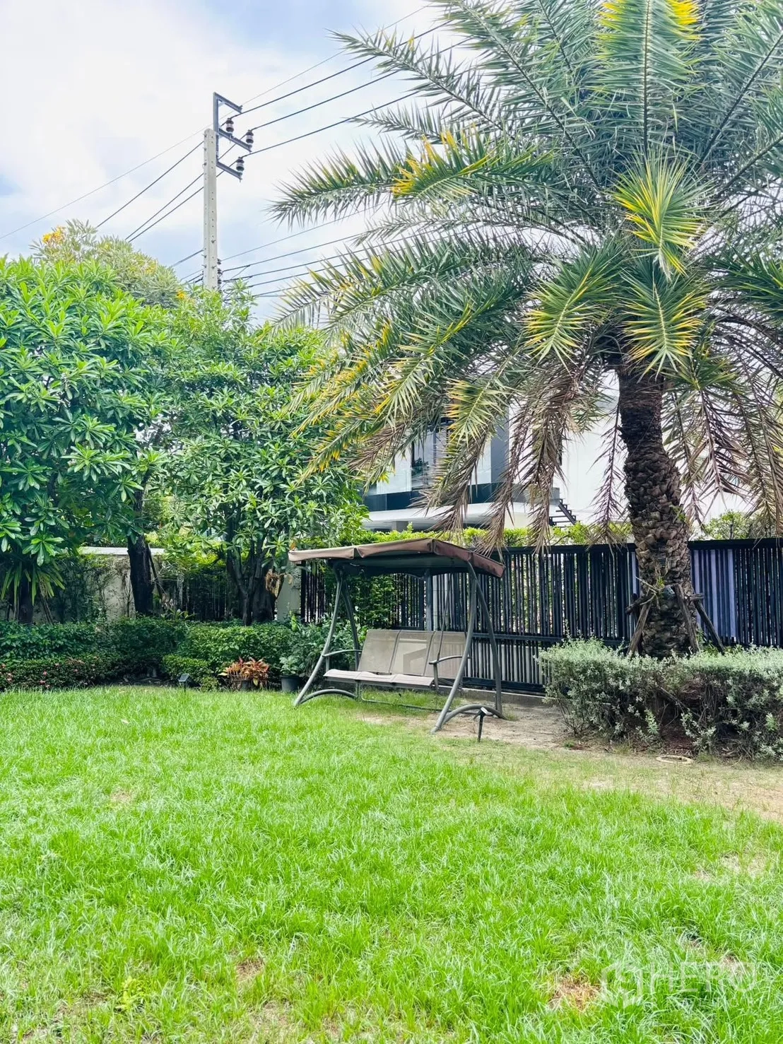 Detached House for rent in Bang Phli, Samut Prakan - Landscaped garden with green lawn, palm tree and a swing bench by the fence.