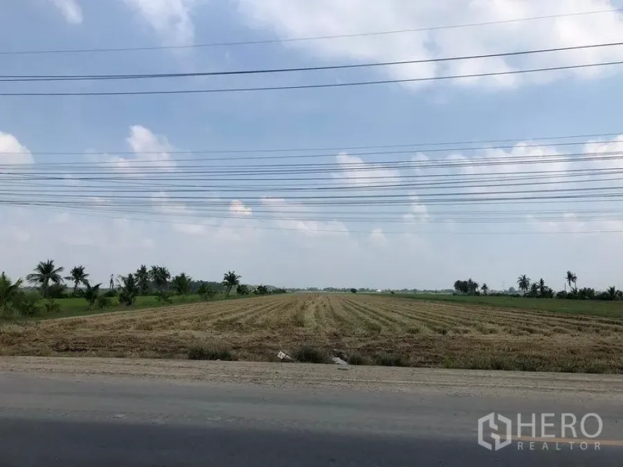 Land for sale in Lam Luk Ka, Pathum Thani - Wide, flat land plot beside a paved road in Lam Luk Ka with overhead power lines under a blue sky.