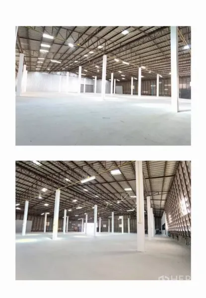คลังสินค้า ให้เช่าในMueang Samut Prakan, Samut Prakan - พื้นคอนกรีตโล่งของโกดัง มีเสารับน้ำหนักสีขาวหลายต้น และผนังเมทัลชีท
