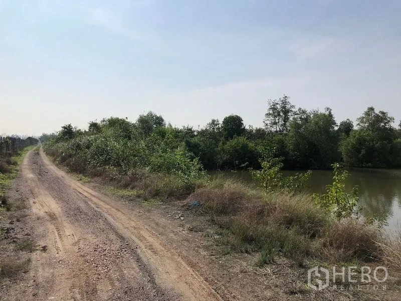 Land for sale in Samut Songkhram - Gravel access road running beside a canal and greenery on an expansive rural land plot in Amphawa.