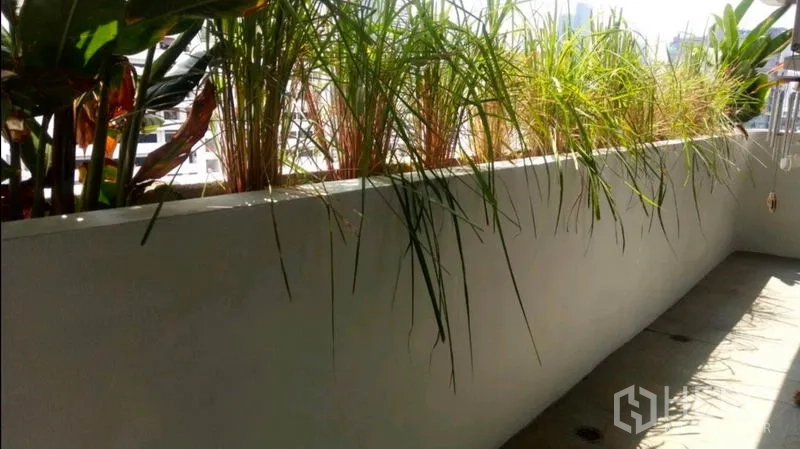 Condominium for rent in Watthana, Bangkok - Balcony planter with lush greenery and partial city outlook.