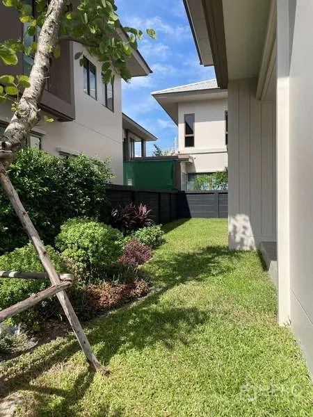 Detached House for rent in Bang Kapi, Bangkok - Private side garden with lawn, shrubs and boundary fence.