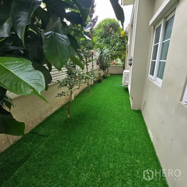 บ้าน ให้เช่าในMueang Pathum Thani, Pathum Thani - แปลงสนามหญ้าริมรั้วพร้อมหน้าต่างบ้าน