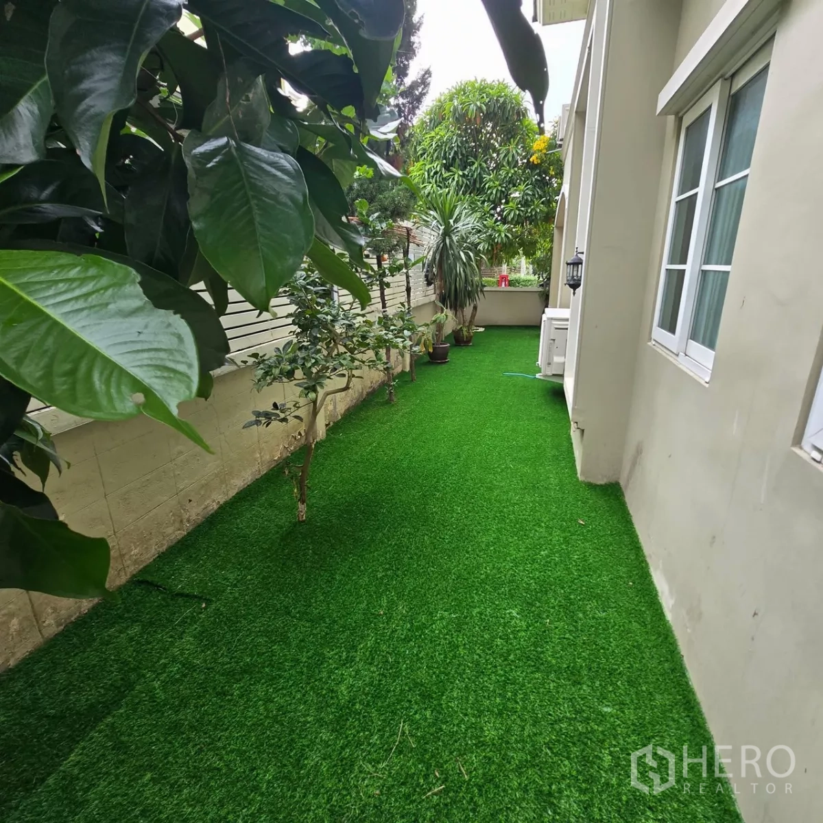 บ้าน ให้เช่าในMueang Pathum Thani, Pathum Thani - แปลงสนามหญ้าริมรั้วพร้อมหน้าต่างบ้าน