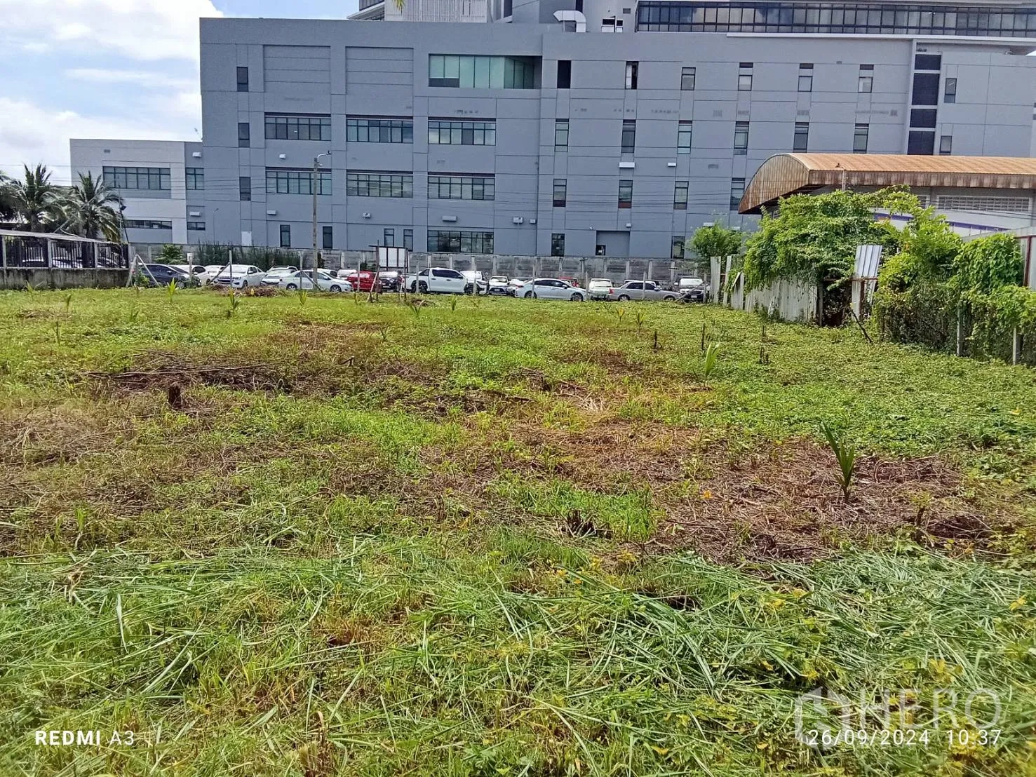 Land for rent in Khan Na Yao, Bangkok - Cleared plot with young plants beside a large modern industrial or office building and parking area.