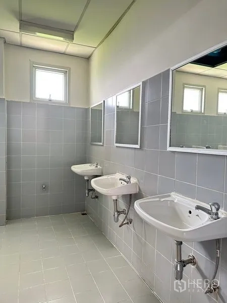 工厂 出租在Phra Nakhon Si Ayutthaya - 整洁卫生间，瓷砖墙面，镜子与壁挂式洗手盆，带采光窗。