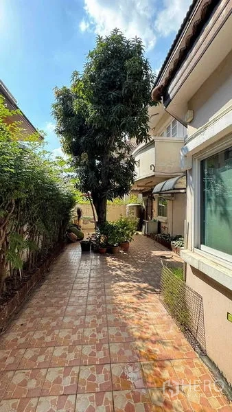 Detached House for sale in Mueang Pathum Thani, Pathum Thani - Side garden walkway with a mature tree, tiled patio and privacy hedge along the house.