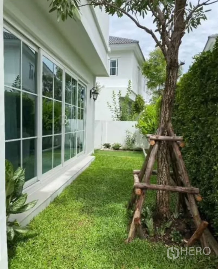 Detached House for rent in Bang Phli, Samut Prakan - Narrow lawn walkway along sliding glass doors and a supported young tree.