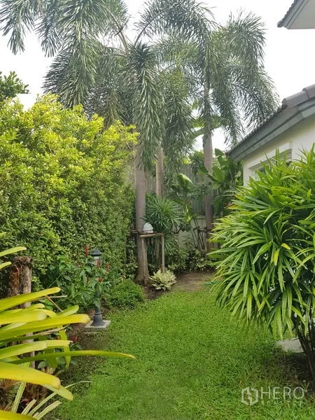 Detached House for sale in Bang Kapi, Bangkok - Shaded side yard with palm trees, trimmed hedges and a green lawn.