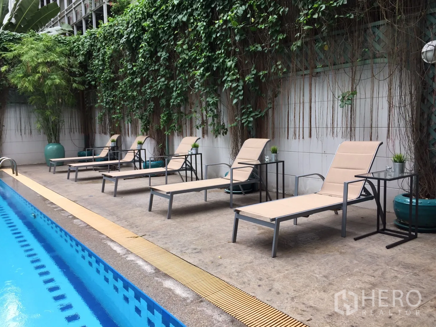 公寓 出租在Bang Rak, Bangkok - 室外游泳池配躺椅，绿植墙环绕。