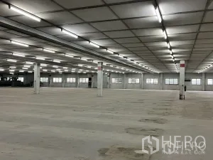 Factory for rent in Phra Pradaeng, Samut Prakan - Wide open factory floor with rows of windows and evenly spaced pillars.