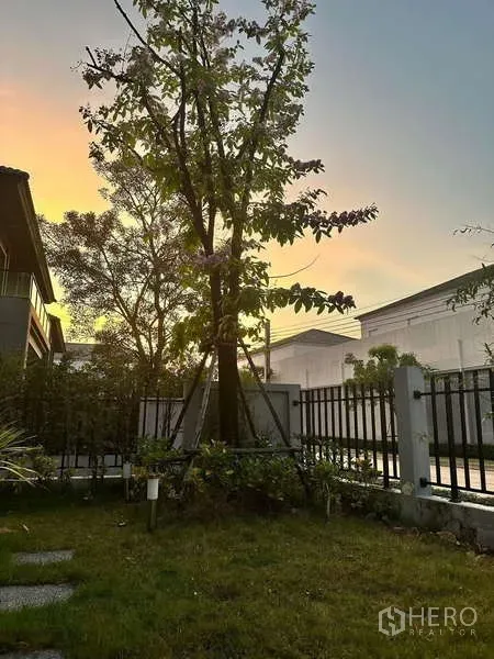 Detached House for rent - Landscaped front garden with tree and metal fence at sunset.