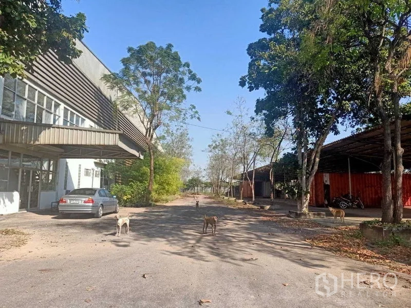 Warehouse for rent in Mueang Samut Sakhon, Samut Sakhon - Entrance court showing office frontage, parking bay and shaded structures under mature trees.