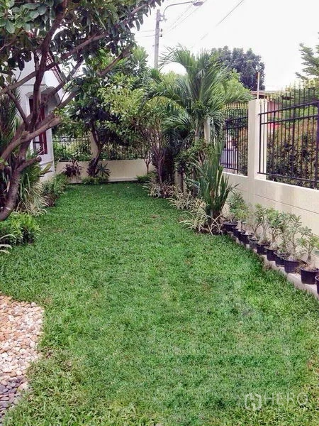Detached House for sale in Taling Chan, Bangkok - Lush side garden with lawn, tropical plants and perimeter fence.