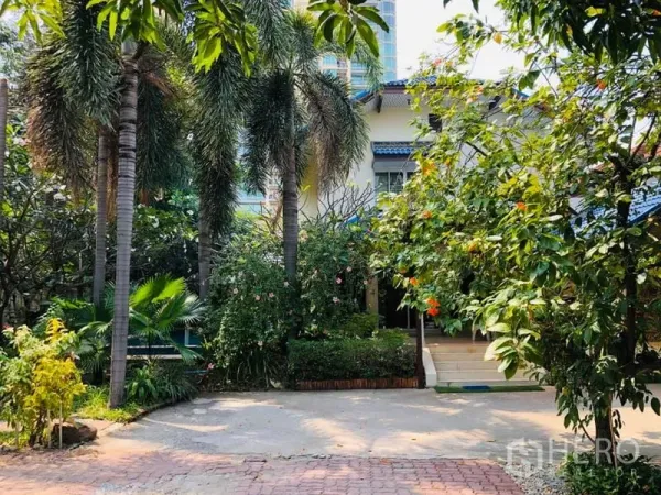 บ้าน ให้เช่าในKhlong Toei, Bangkok - สวนหน้าบ้านมีต้นปาล์มและตัวบ้านสองชั้น