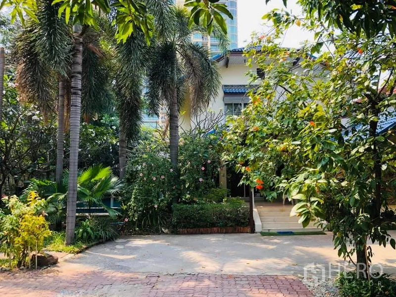 บ้าน ให้เช่าในKhlong Toei, Bangkok - สวนหน้าบ้านมีต้นปาล์มและตัวบ้านสองชั้น