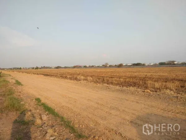 ที่ดิน ขายในLam Luk Ka, Pathum Thani - แปลงที่ดินกว้างราบเรียบ มีถนนดินกว้างและแนวชุมชนเตี้ยไกลลิบ