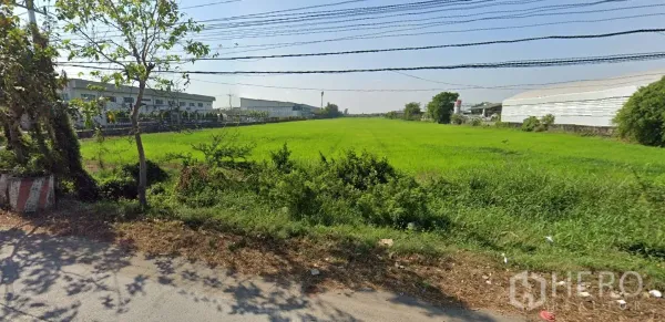 Land for sale in Lat Lum Kaeo, Pathum Thani - Expansive green field land plot between warehouse complexes, viewed from the roadside.