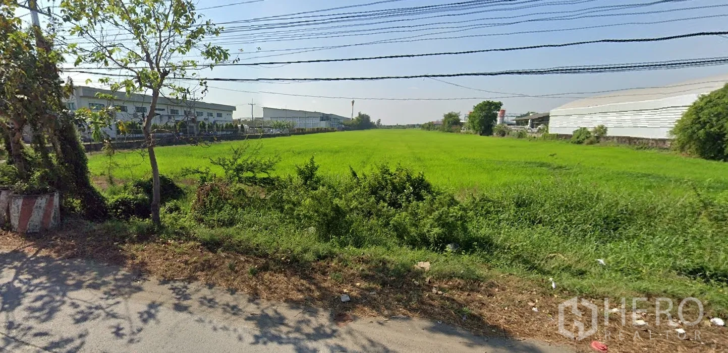 Land for sale in Lat Lum Kaeo, Pathum Thani - Expansive green field land plot between warehouse complexes, viewed from the roadside.