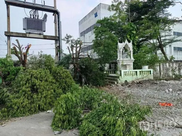 Land for rent in Lat Krabang, Bangkok - Walled industrial plot with an on-site power transformer and a small shrine among trees in Lat Krabang, Bangkok.