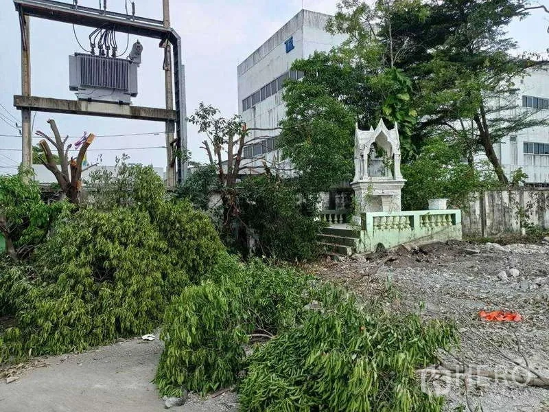 Land for rent in Lat Krabang, Bangkok - Walled industrial plot with an on-site power transformer and a small shrine among trees in Lat Krabang, Bangkok.