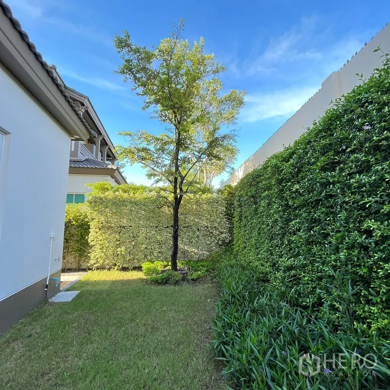 บ้าน ให้เช่าหรือขายในBang Khen, Bangkok - สนามหญ้าหลังบ้าน พร้อมแนวรั้วต้นไม้สูงและต้นไม้เดี่ยว