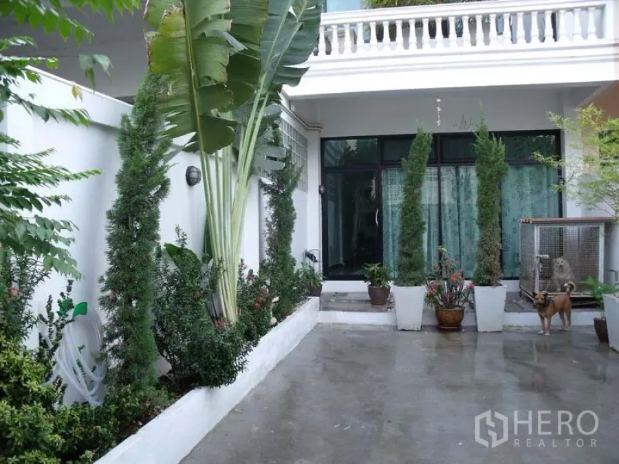 联排别墅 出售在Phra Khanong, Bangkok - 一层露台与推拉玻璃门，周围绿篱与盆栽