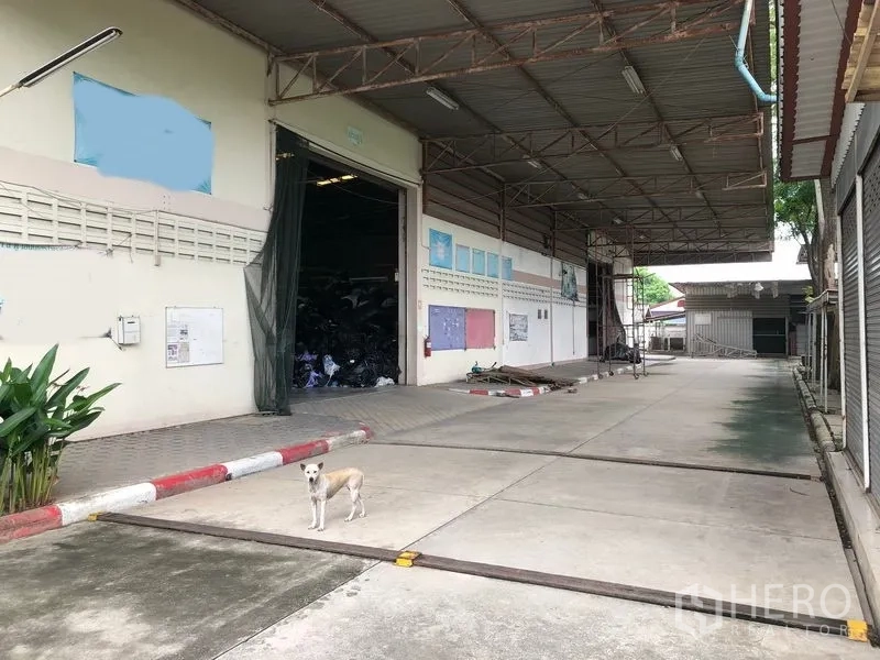 工厂 出售在Lam Luk Ka, Pathum Thani - 宽大的有顶装卸月台，高卷帘门，卡车通行便捷