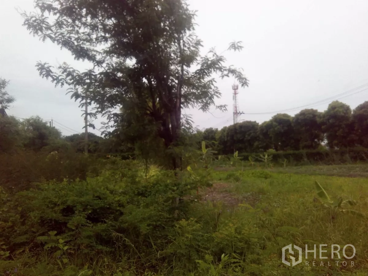 ที่ดิน ขายในKhlong Sam Wa, Bangkok - พื้นที่โล่งของแปลง มองเห็นแนวต้นไม้และเสาสื่อสารไกล ๆ