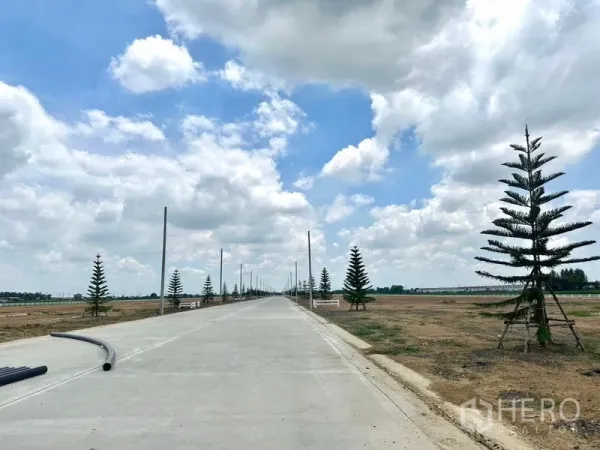Land for sale in Lam Luk Ka, Pathum Thani - Long straight concrete access road lined with saplings and light poles.