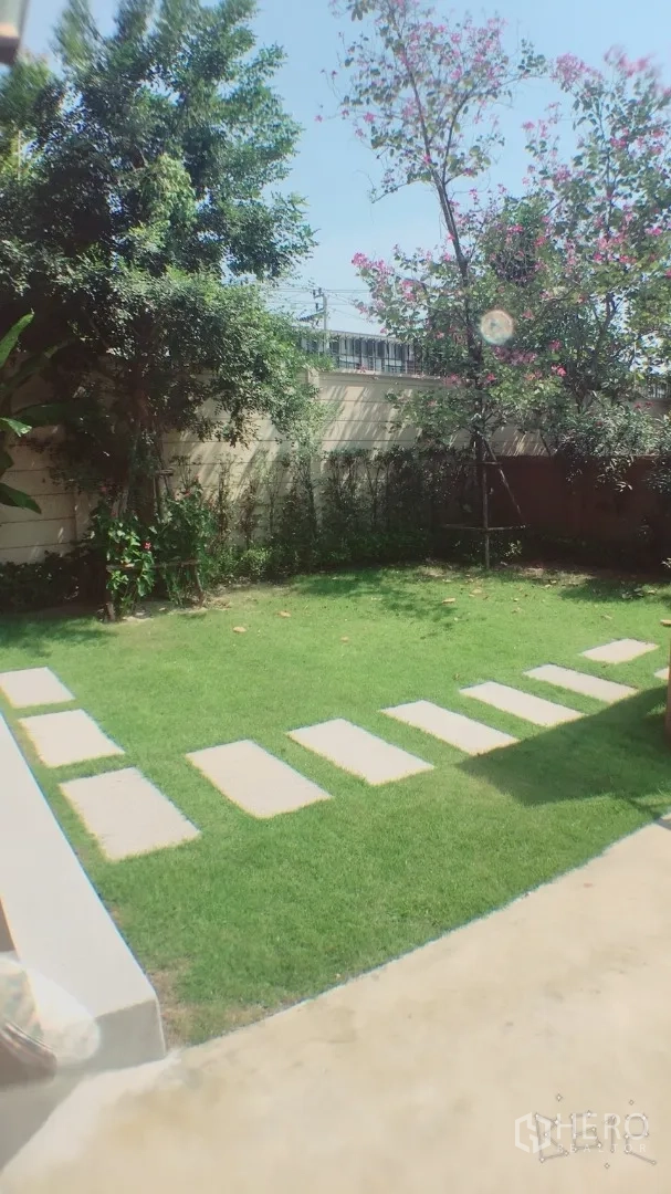 Detached House for rent in Suan Luang, Bangkok - Private backyard garden with green lawn, stepping-stone path, trees, and boundary wall.