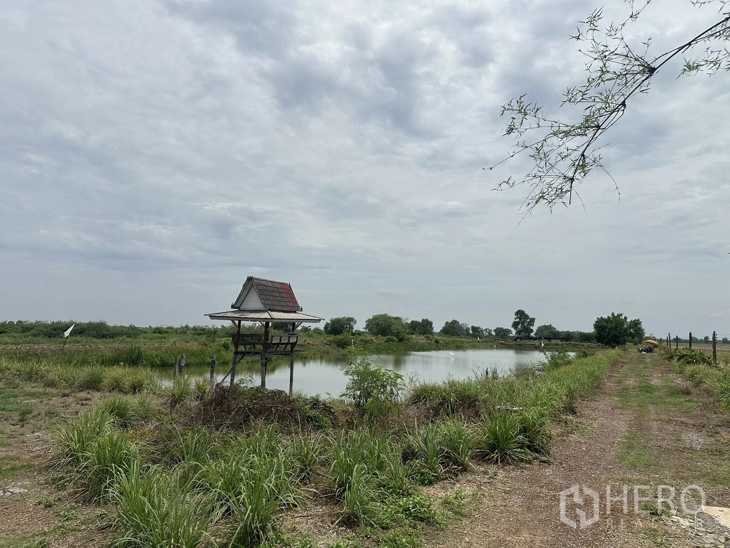 Land for sale in Bang Nam Priao, Chachoengsao - Pond with a small pavilion on stilts beside grassy banks and a farm path.
