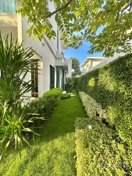 บ้าน ให้เช่าในSamut Prakan - สวนข้างบ้านพุ่มไม้ตัดแต่ง สนามหญ้า และต้นไม้เขตร้อน